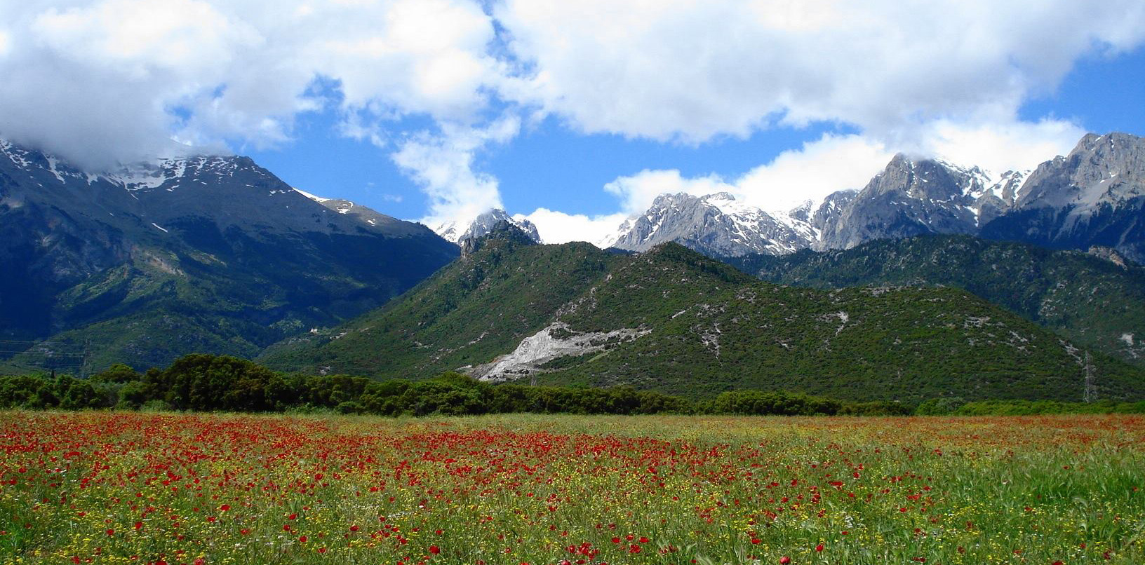parnassos_spring.jpg
