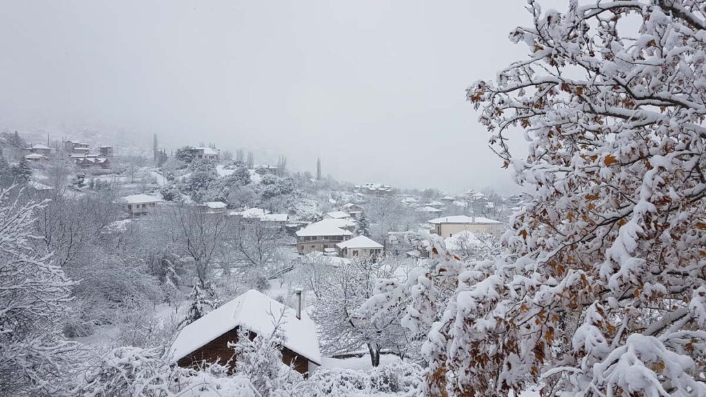 Χιόνι Νοεμβρίου στην Αγόριανη. Φωτ: OnParnassos.gr (κλικ για μεγέθυνση)
