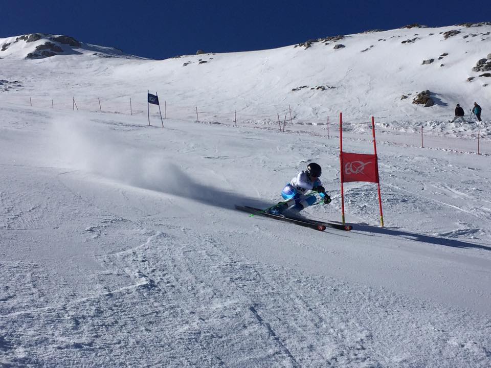 apollocup2017.jpg