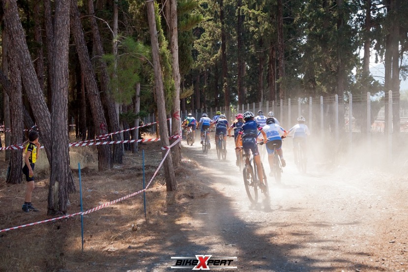 bike_experts_tithorea1.jpg