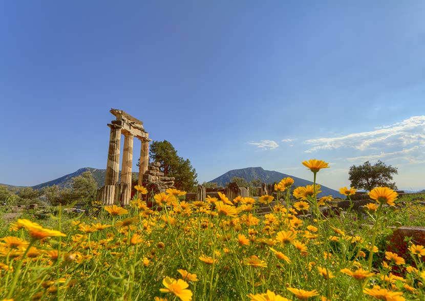 delphi_spring.jpg