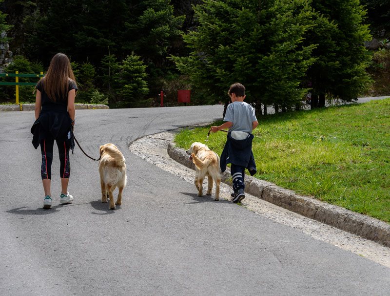 dog-weekend-elatos.jpg