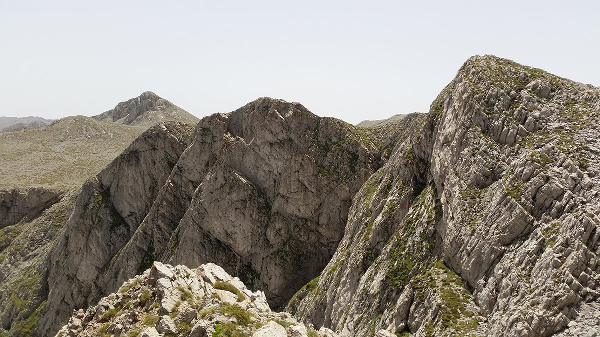 gerontovrahos_1200_2.jpg