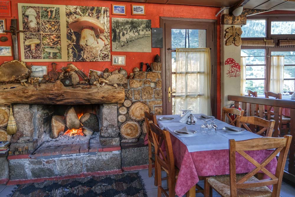 Photo: Ελένη Πατρινού / οnParnassos.gr