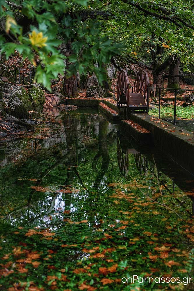 Πηγές Αγίας Ελεούσας / © onParnassos.gr
