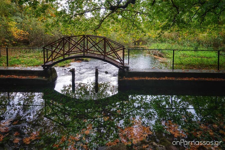 Πηγές Αγίας Ελεούσας / © onParnassos.gr
