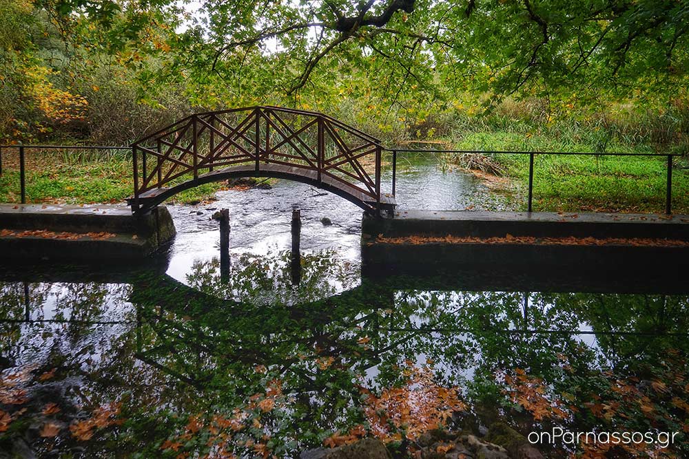 Πηγές Αγίας Ελεούσας / © onParnassos.gr