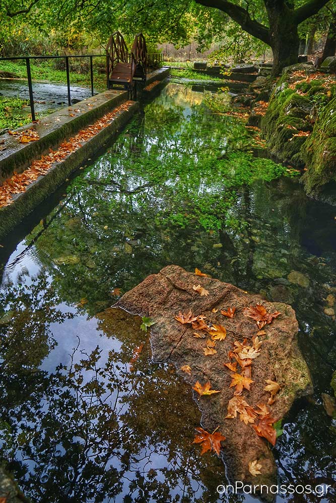 Πηγές Αγίας Ελεούσας / © onParnassos.gr