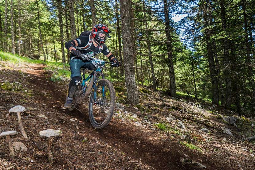 mtb_downhill_830.jpg