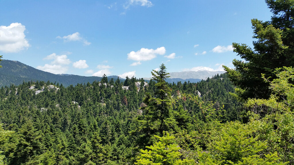 national_park_parnassos_1200_3.jpg