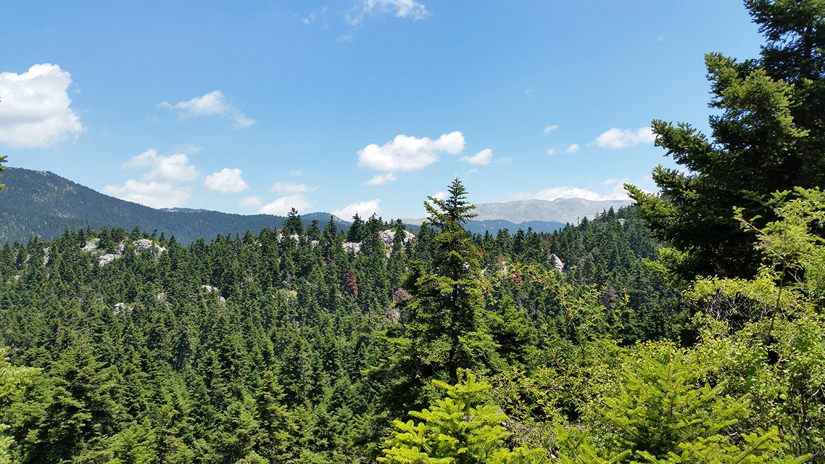 national_park_parnassos_1200_3.jpg