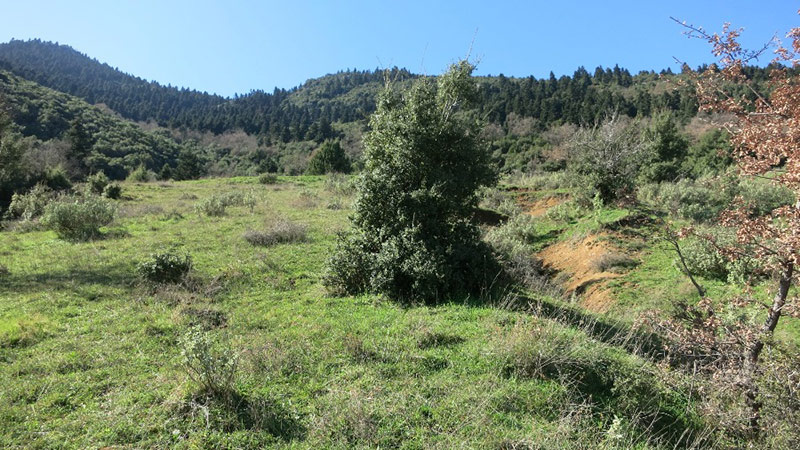 Φωτ: Milias Camps
