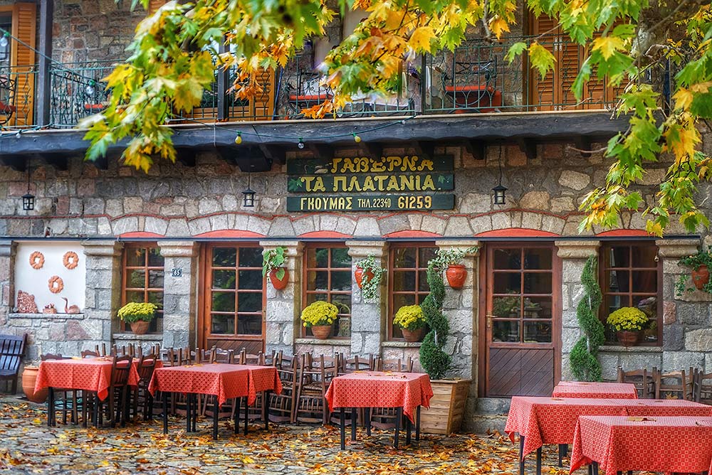 platania1000_1.jpg