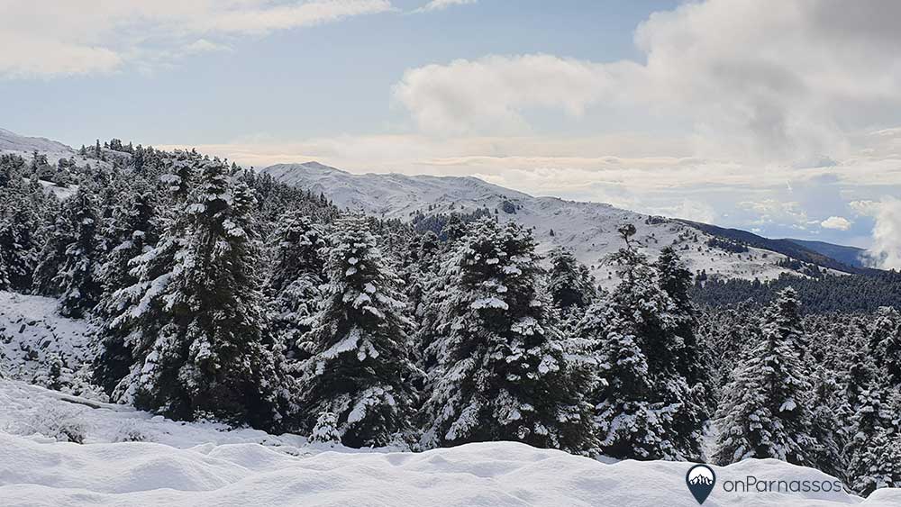 snow11122019_3_0.jpg