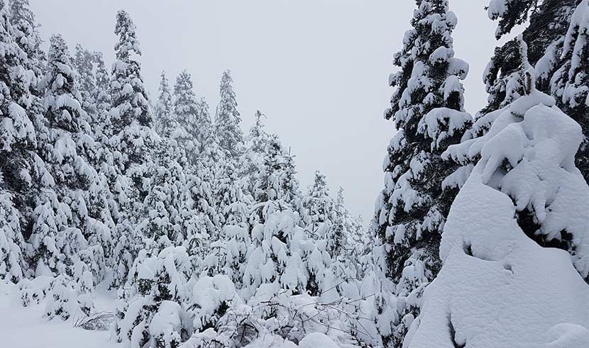 snow_parnassos.jpg