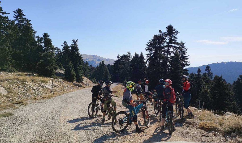 true_wheels_mtb2_1200.jpg