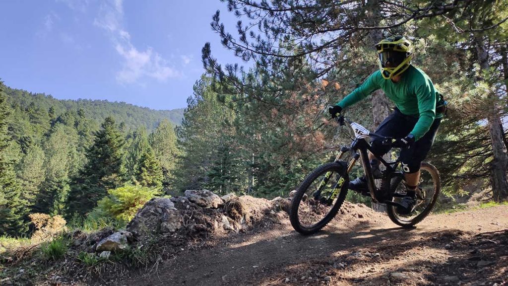 true_wheels_mtb3_1200.jpg