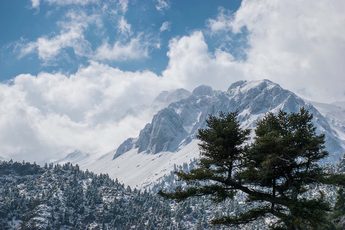 Mount,Parnassos,Back,View,Snow